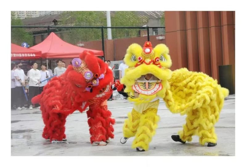 球友体育官方线路